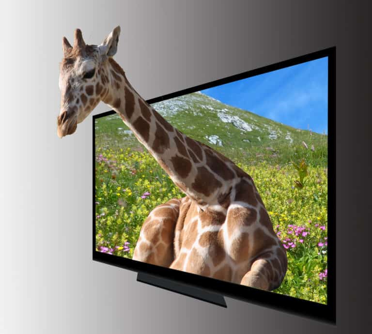 Is 3D TV Here to Stay?