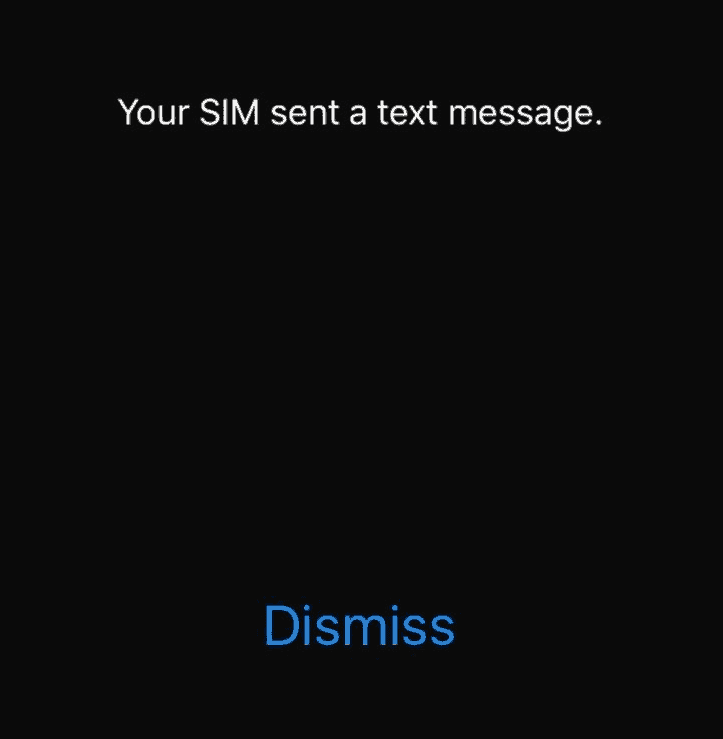 SIM Sent a text message