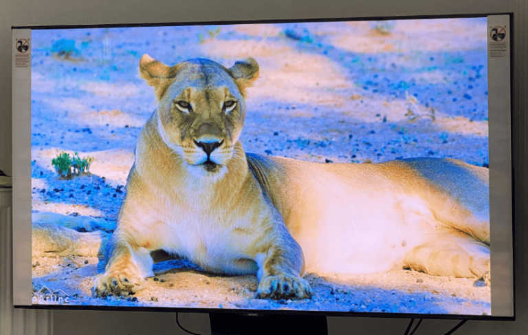 Fixing a Blue Tint on Your TV Screen