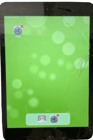 Replacing the Screen on an iPad Mini 3