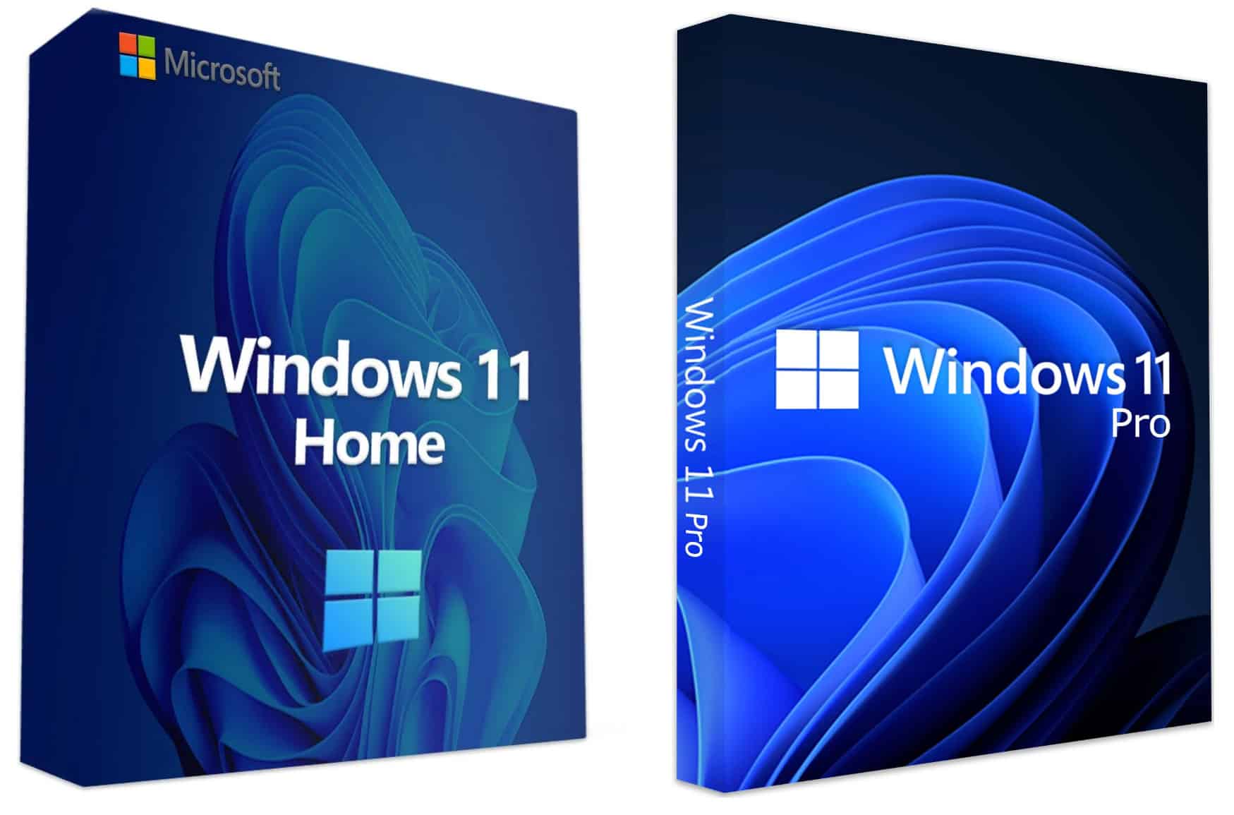 Windows 11 Home vs. Windows 11 Pro