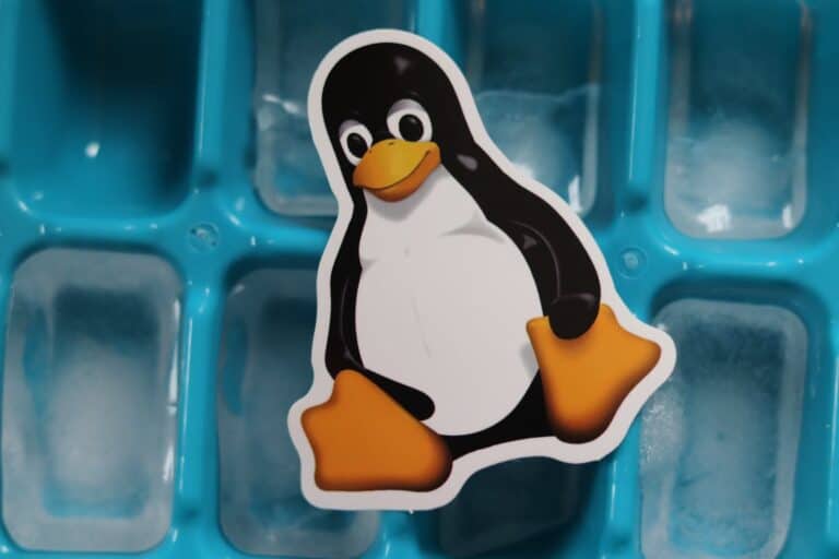Choosing The Best Linux Distribution For Beginners