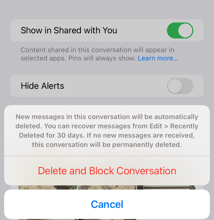 delete and block conversation