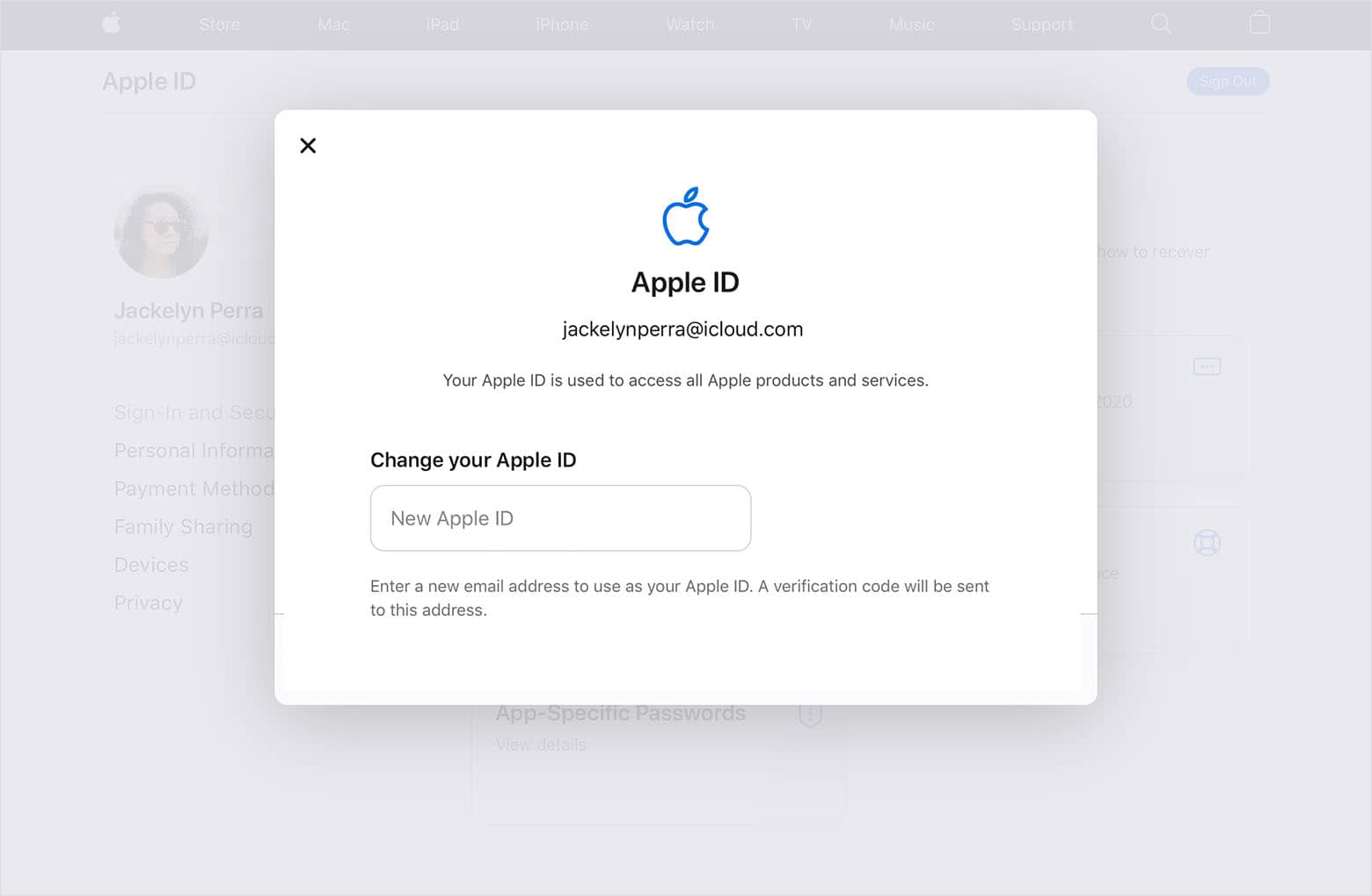 Apple ID on iPad