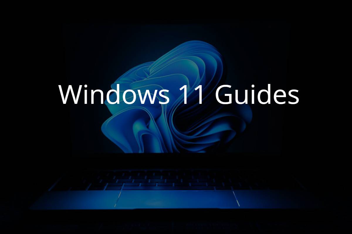 Windows 11 Guides