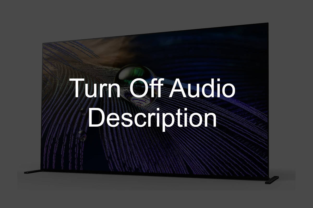 Turn Off Audio Description