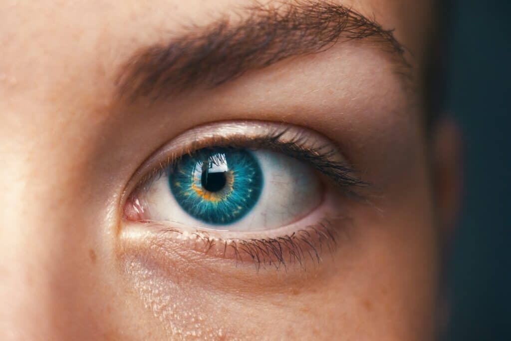 Picture of Pupil for Eye Tracking
