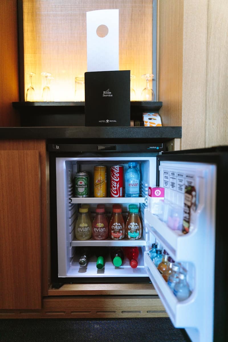 The 10 Best Mini Refrigerators Of 2024 Top Models Ranked