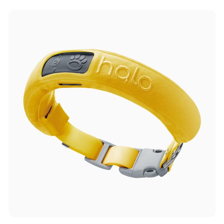 Halo Collar 3: The Ultimate Review for Tech-Savvy Pet Owners