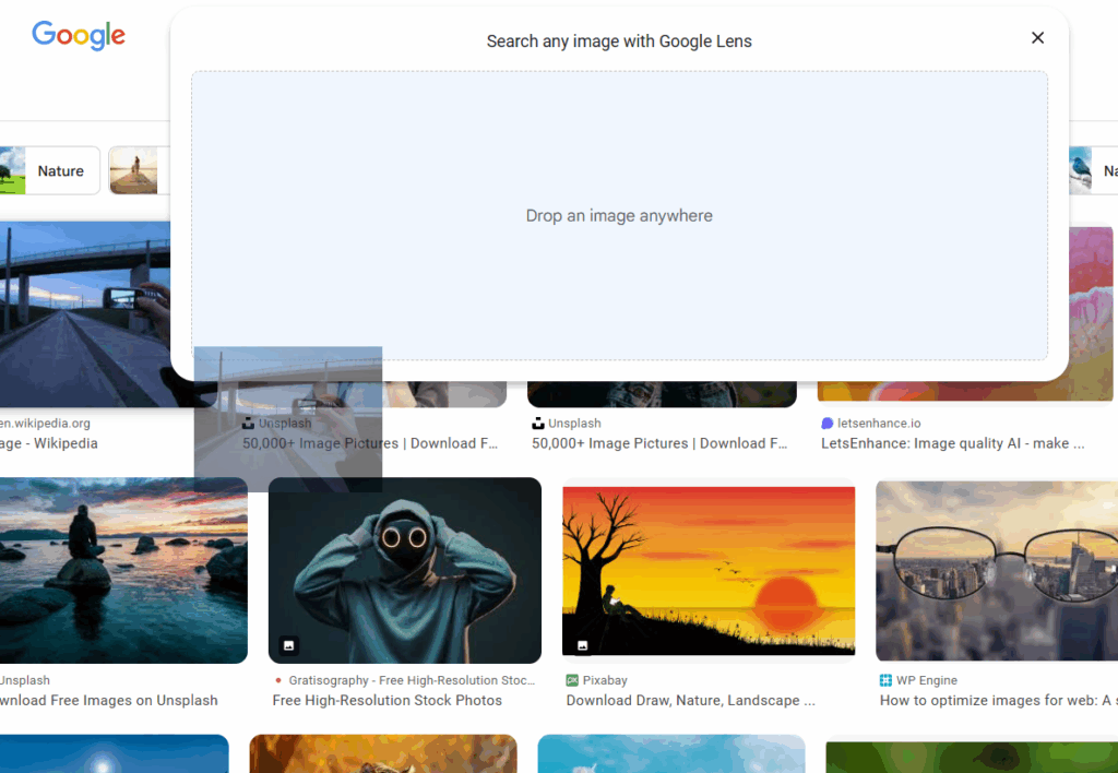google reverse image search 1