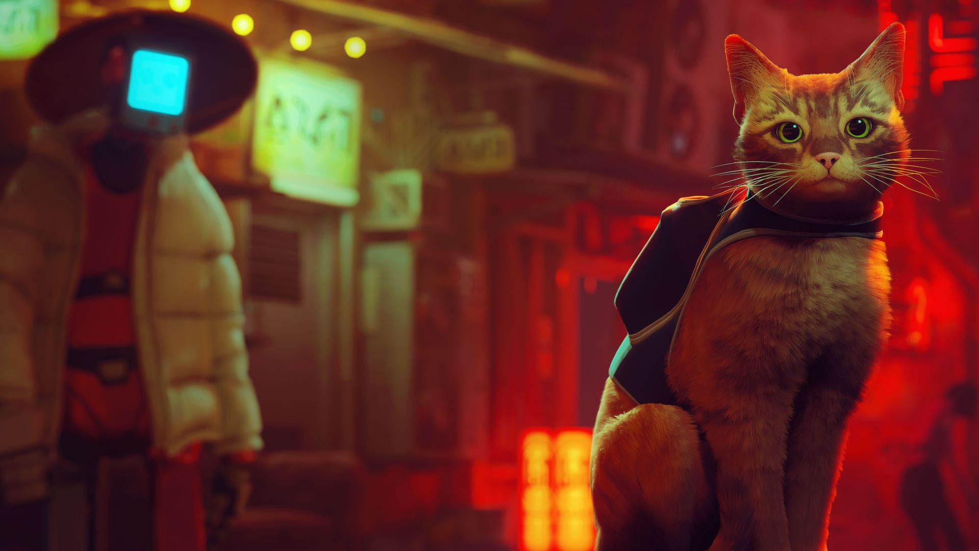Stray on Steam