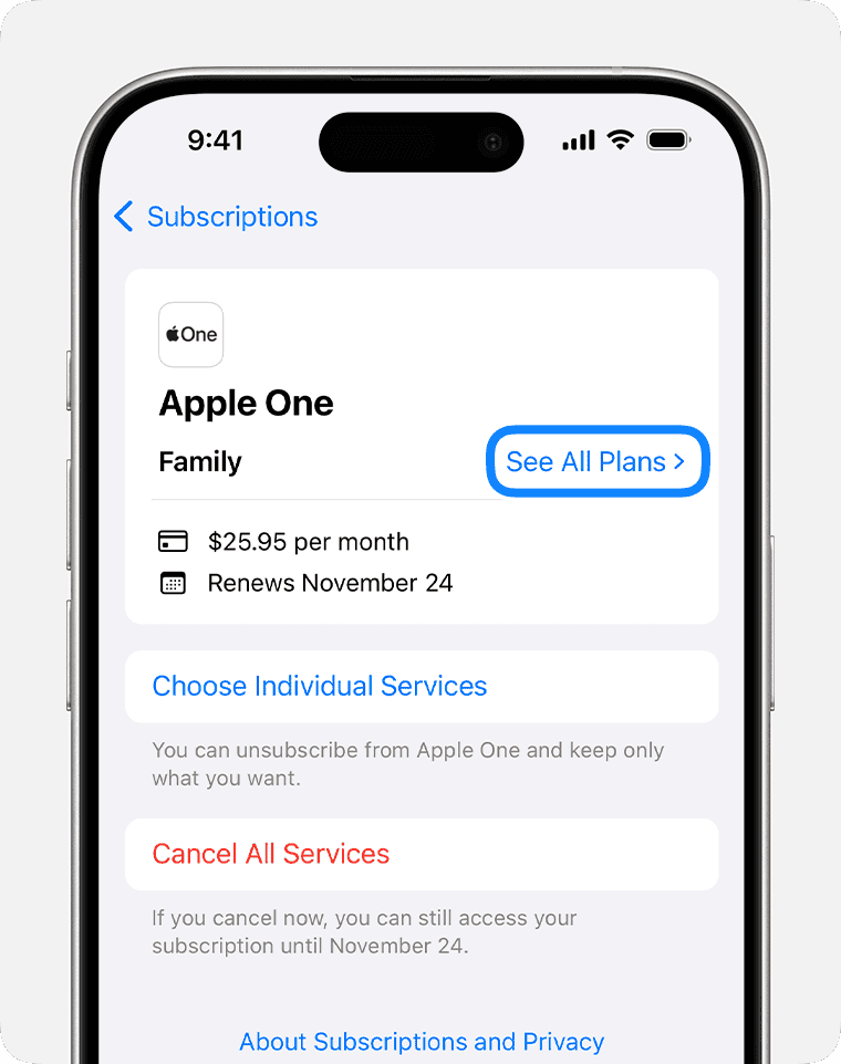 Managing Your Apple Purchases and Subscriptions 4 How to switch to a different subscription plan - Apple Support