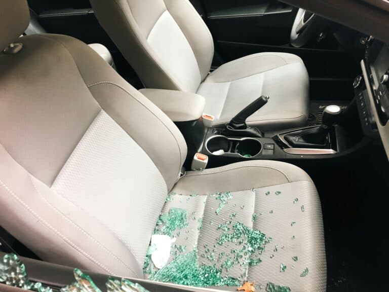 Understanding the Impact of Vehicle Theft
