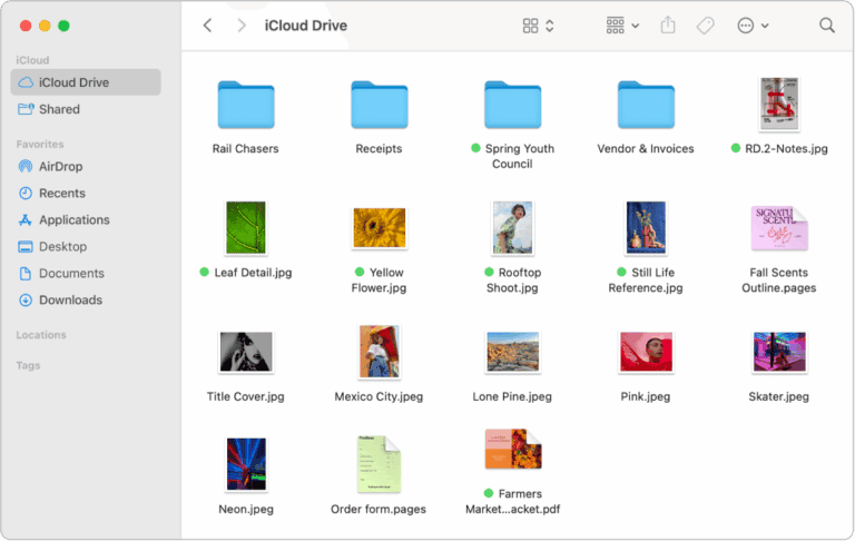 File Manager for Mac: The Complete Guide